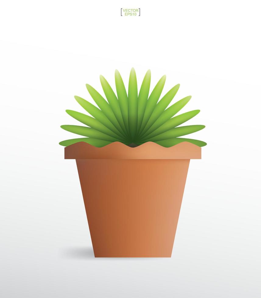 Decoration plants in flower pot. Small tree. Natural object idea for interior design and decoration. Vector. vector