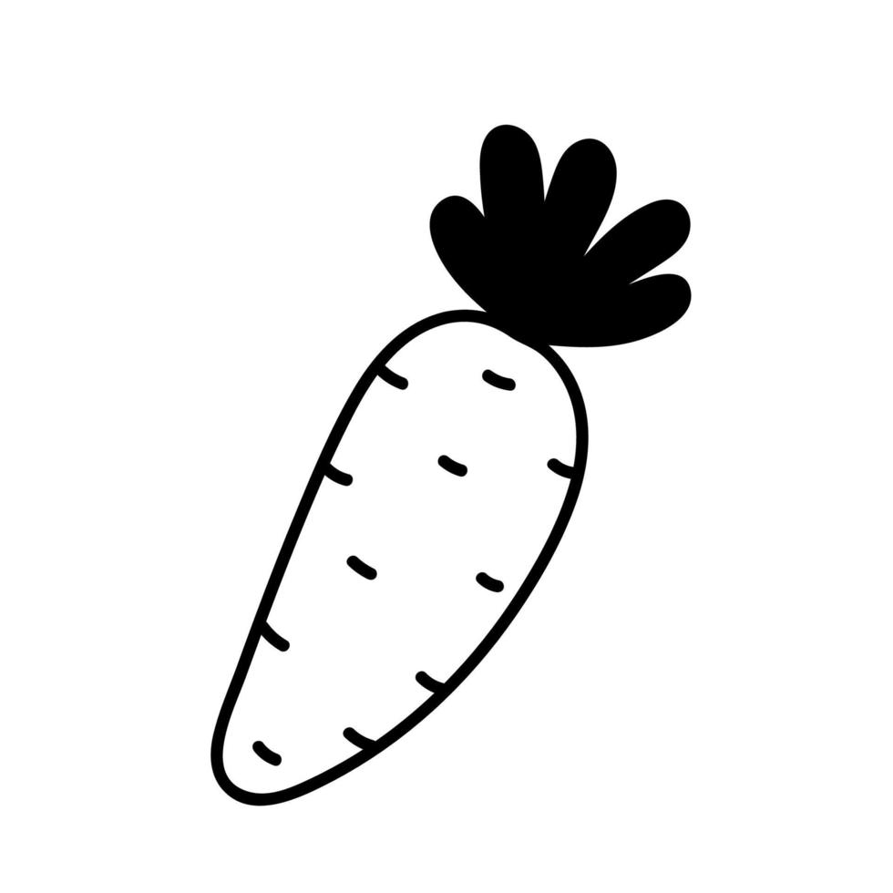 Doodle carrot isolated on white background. Vector hand-drawn illustration. Cute cartoon drawing. Suitable for menu, recipes, decorations, cards, Easter design.