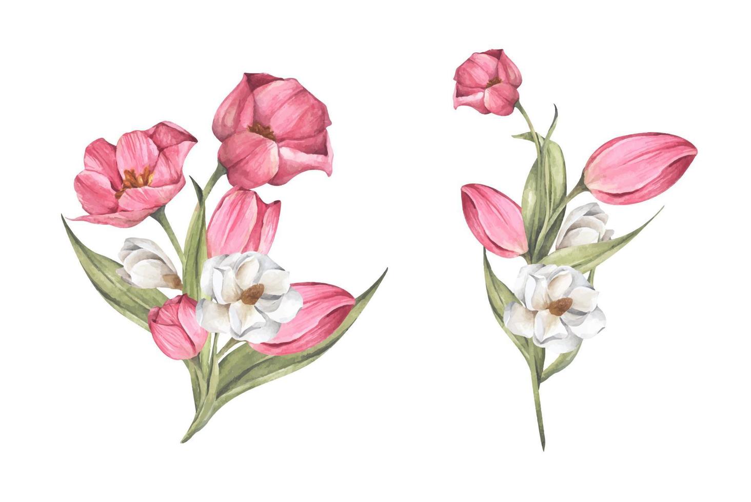 ramo de tulipanes y magnolia. composición floral. Ilustración acuarela. vector