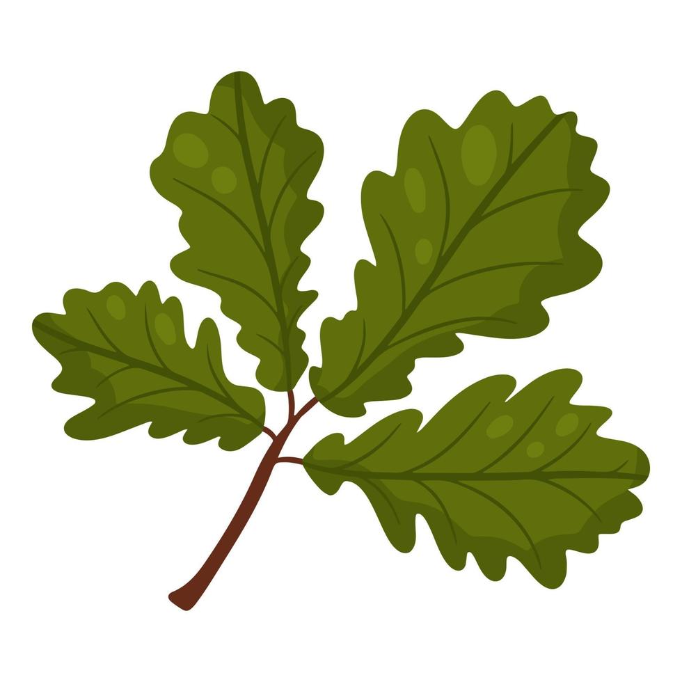 Oak leaf. Autumn design element. Vector illustration, cartoon style