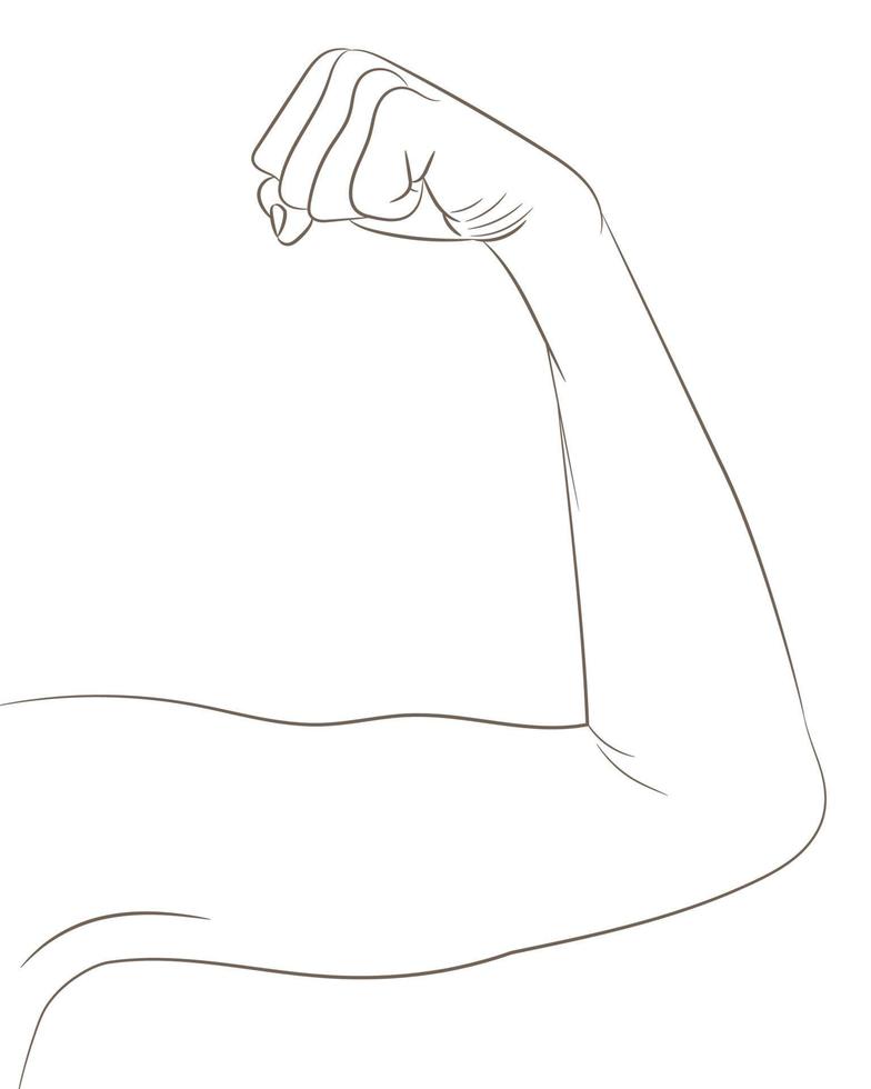 bíceps femeninos bien tonificados. brazo doblado que muestra el progreso después de los ejercicios vector