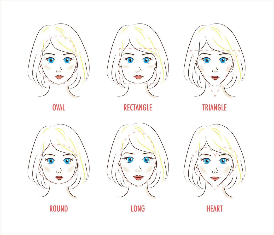 infografía de proporción de rostro de mujer vector