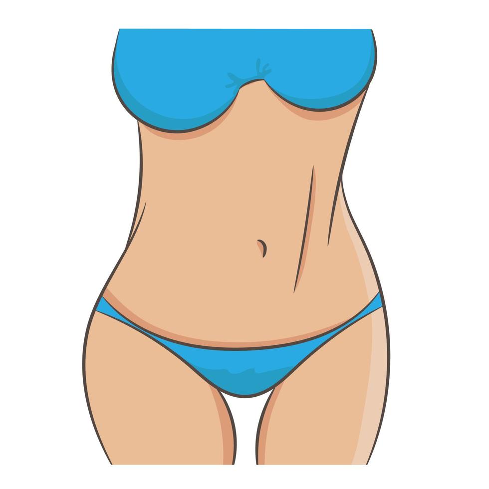 Closeup picture of slim woman waist and arms. Beautiful female tummy, fit stomach. Vector illustration, weight loss and fitness concept.