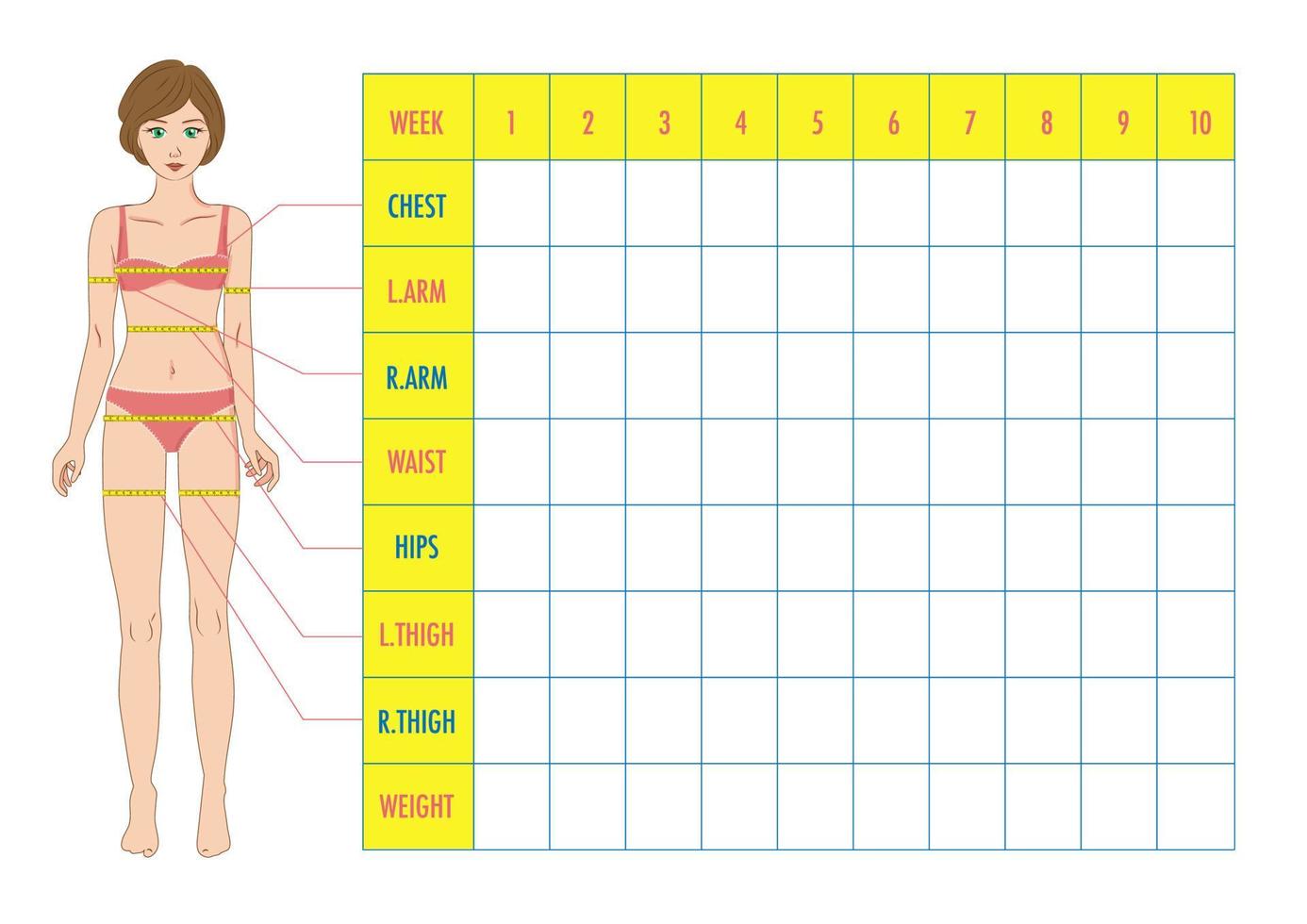 Body measurement tracking chart, weight loss chart vector