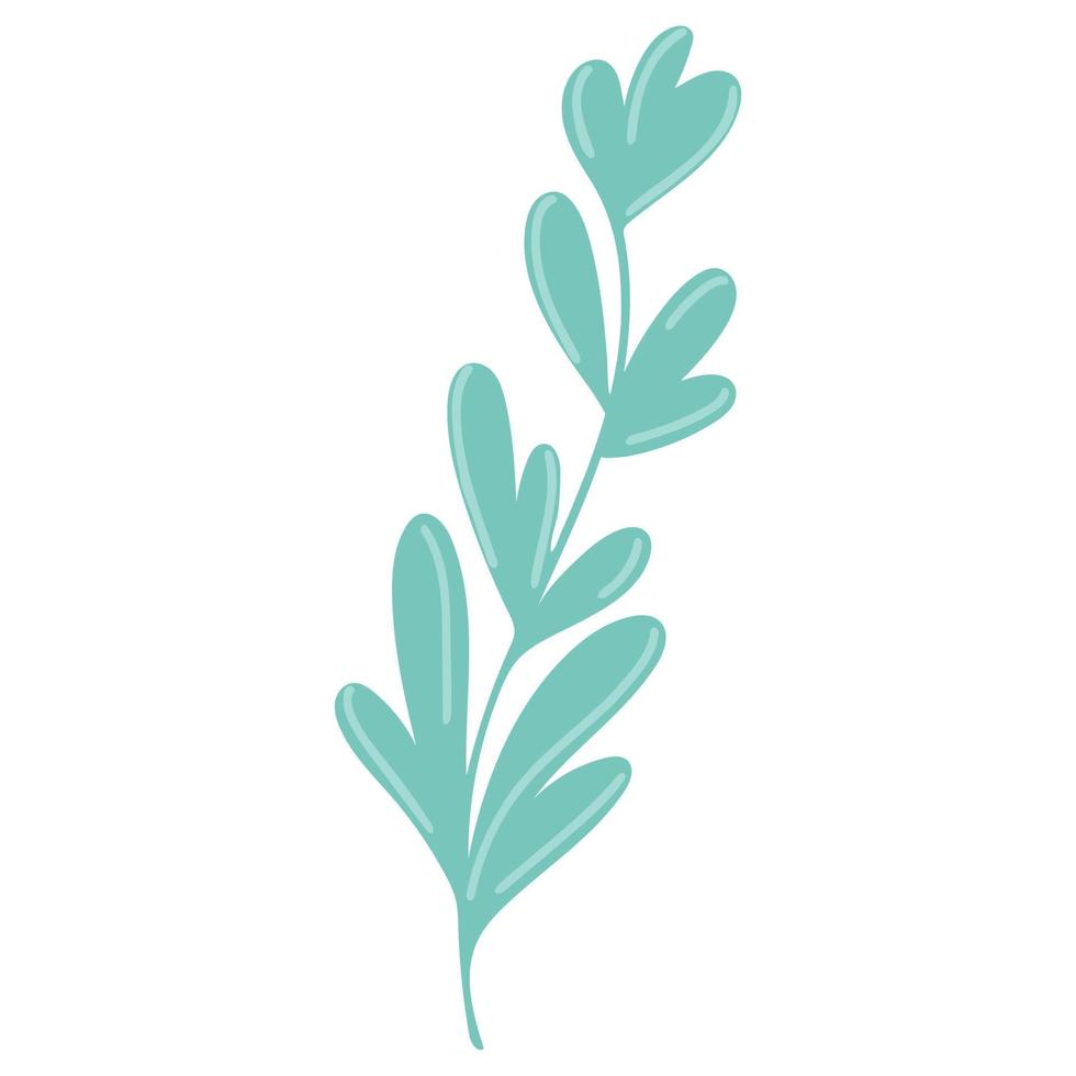 Graceful twig with elongated leaves drawn isolated botanical element vector