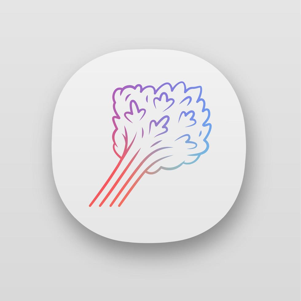 Parsley app icon vector