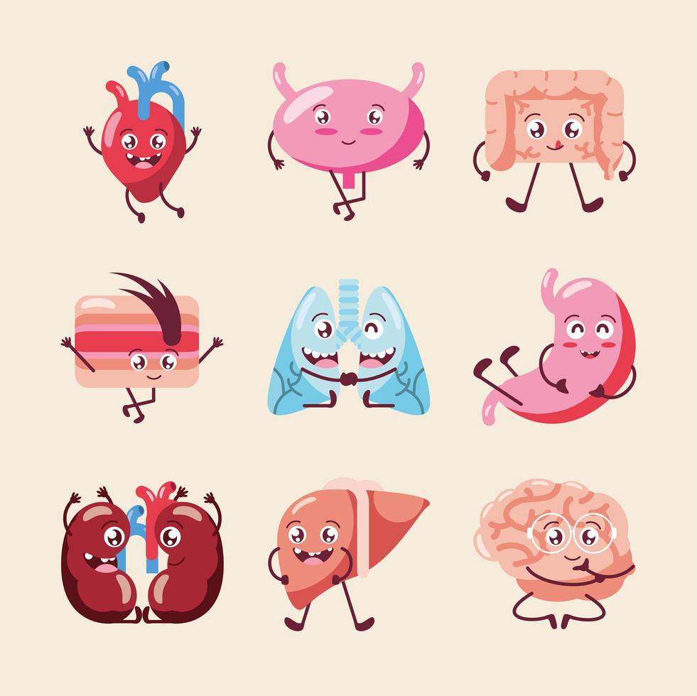 cute human organs vector