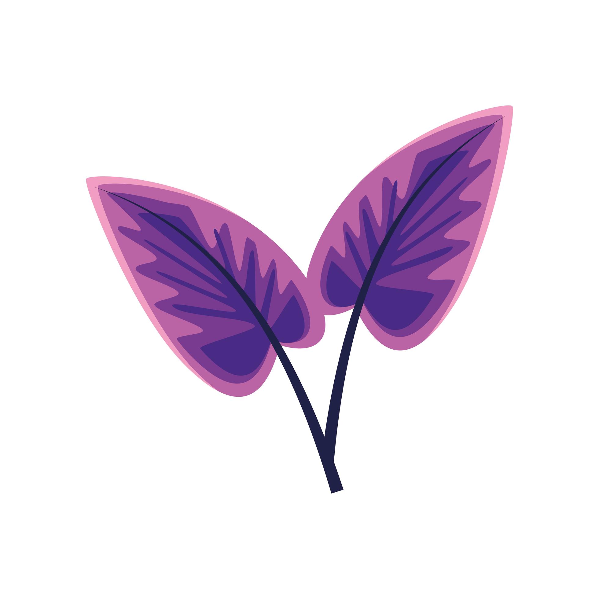 purple leaves nature 3717478 Vector Art at Vecteezy