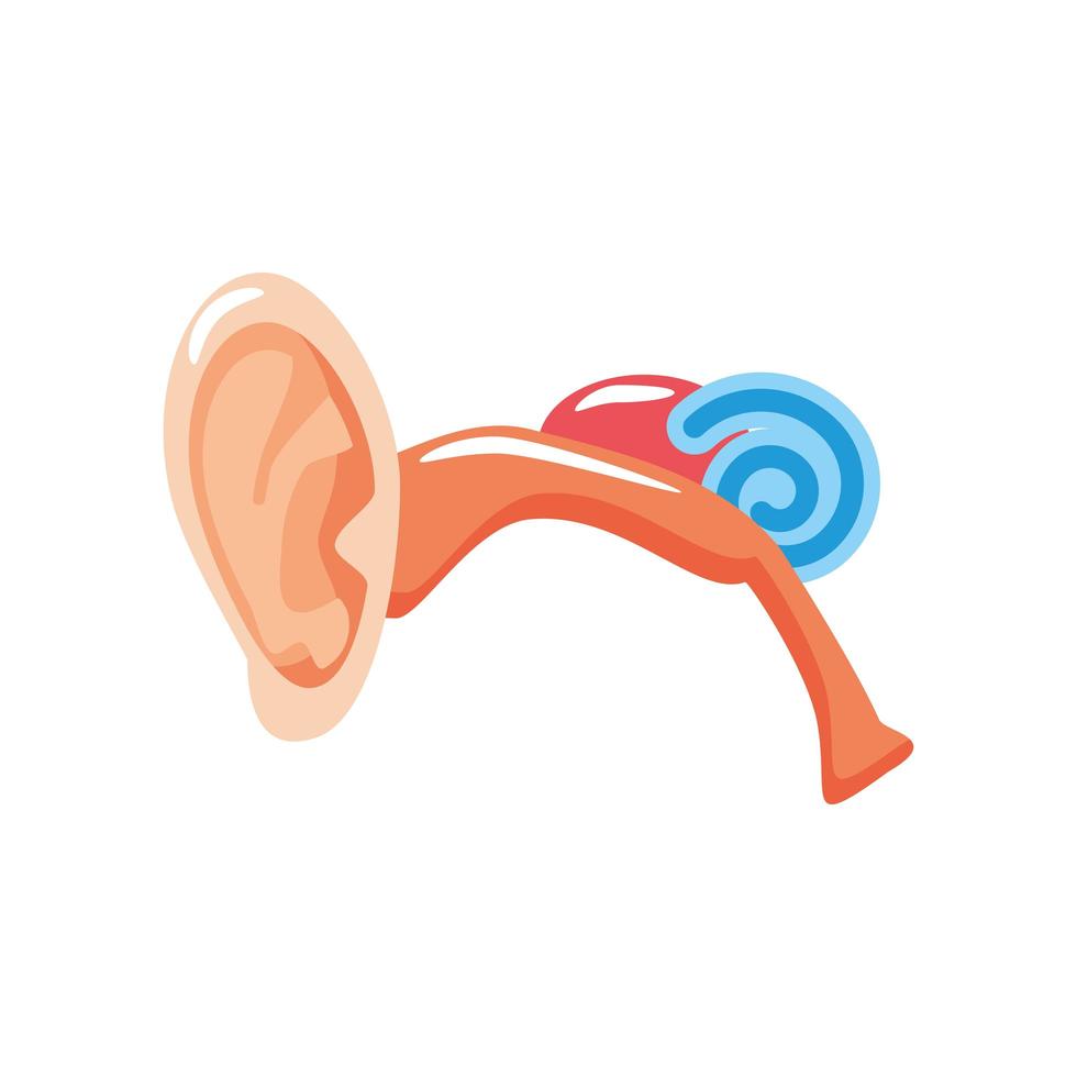 human ear organ vector