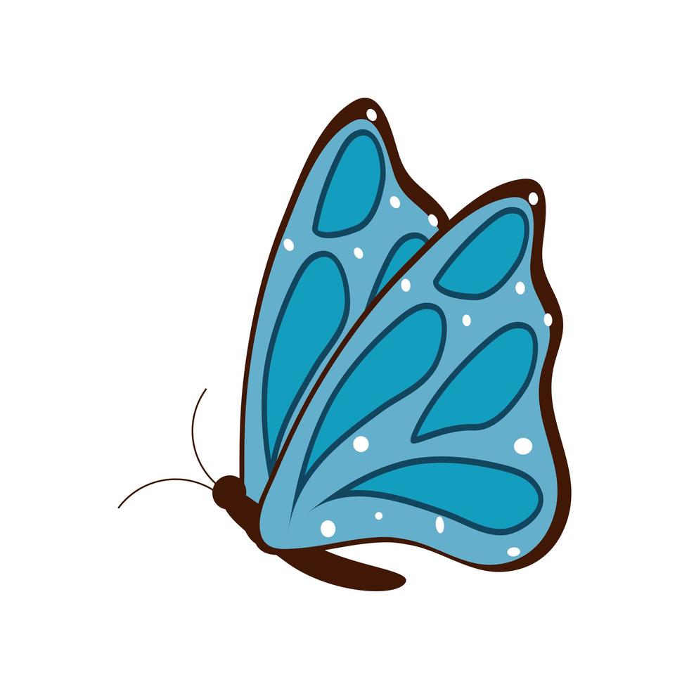 mariposa de dibujos animados lindo vector