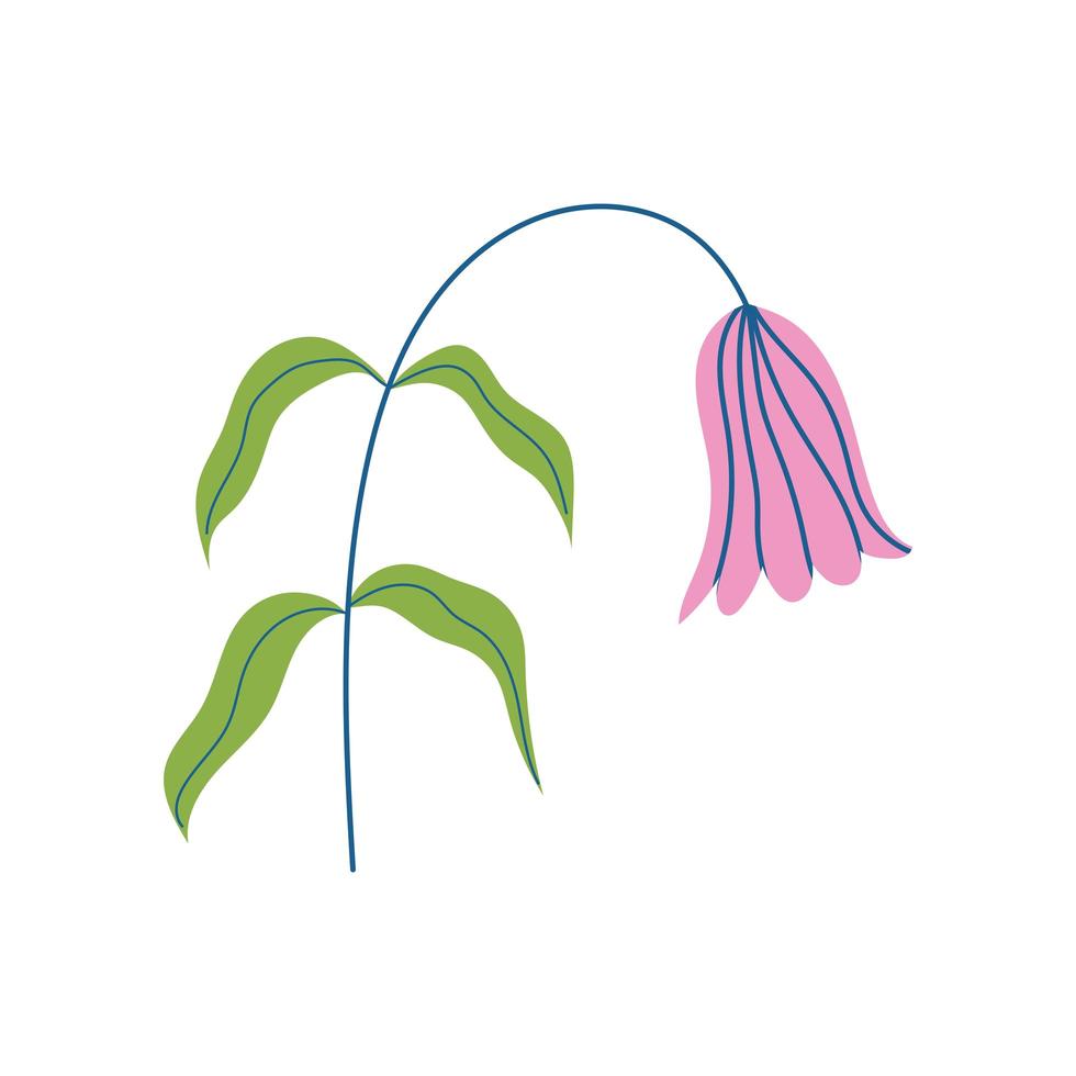 flower botanical decoration vector