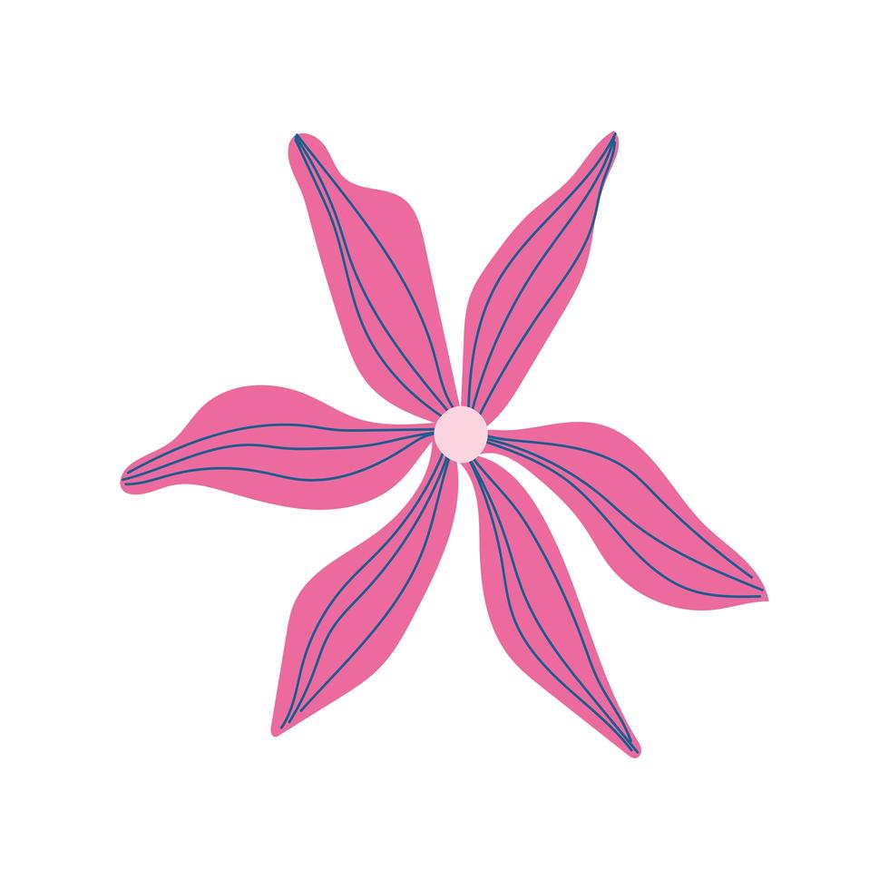 pink flower decoration vector