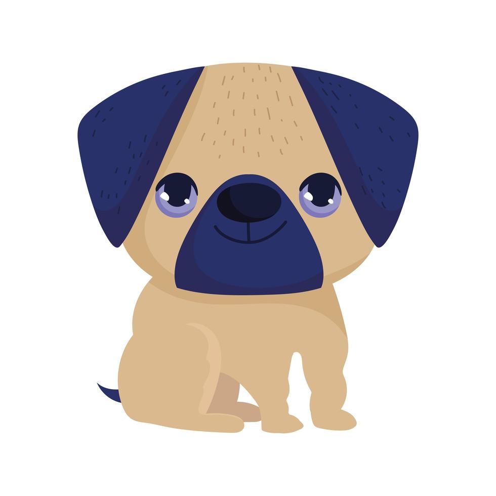 lindo perro pug vector