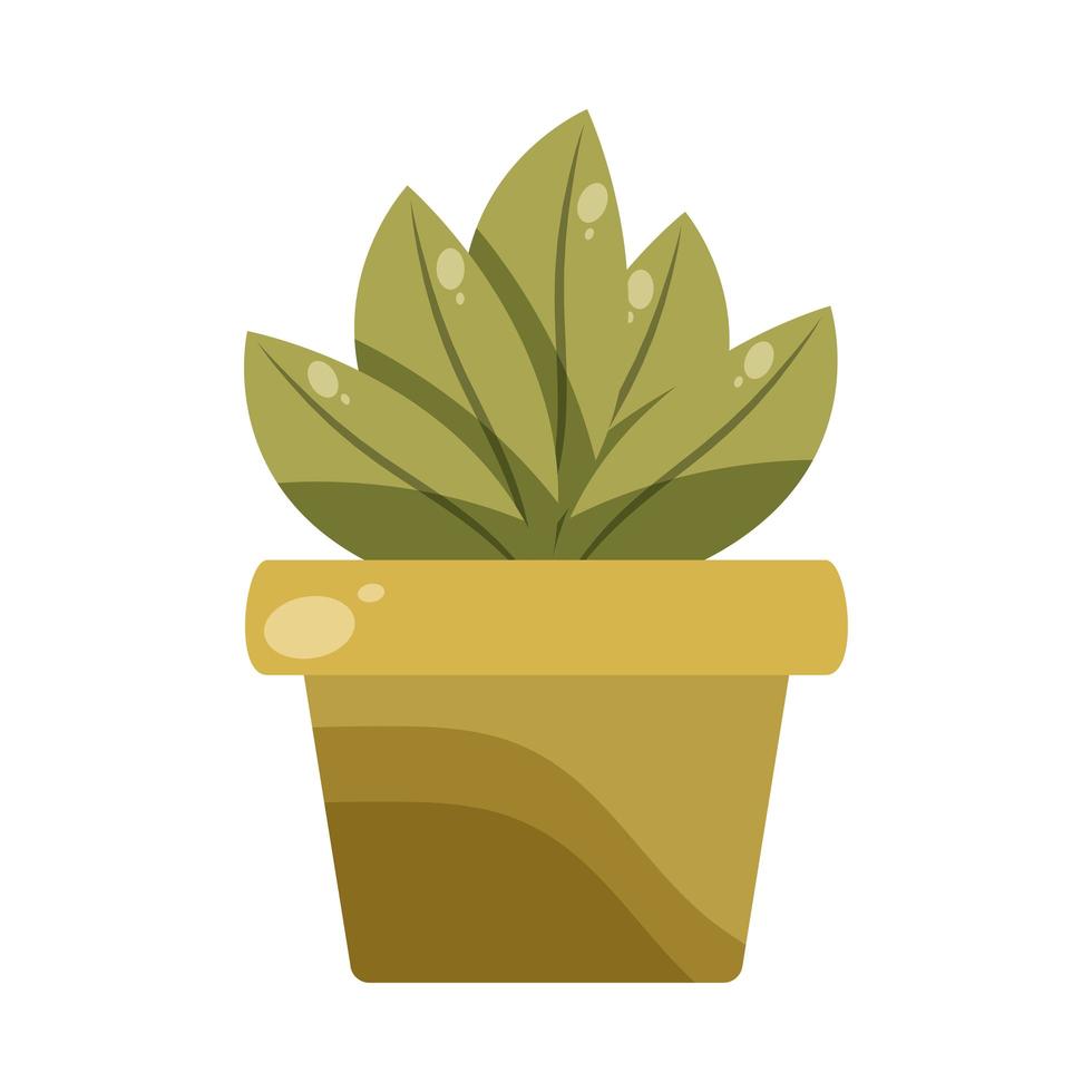 potted plant interior vector