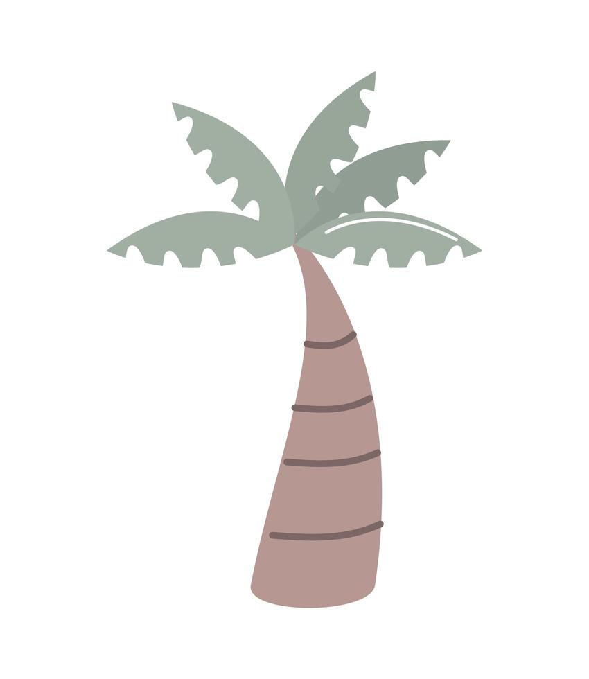 palm tree tropical vector