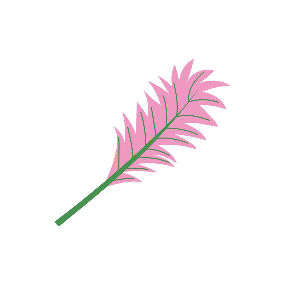 pink branch foliage vector