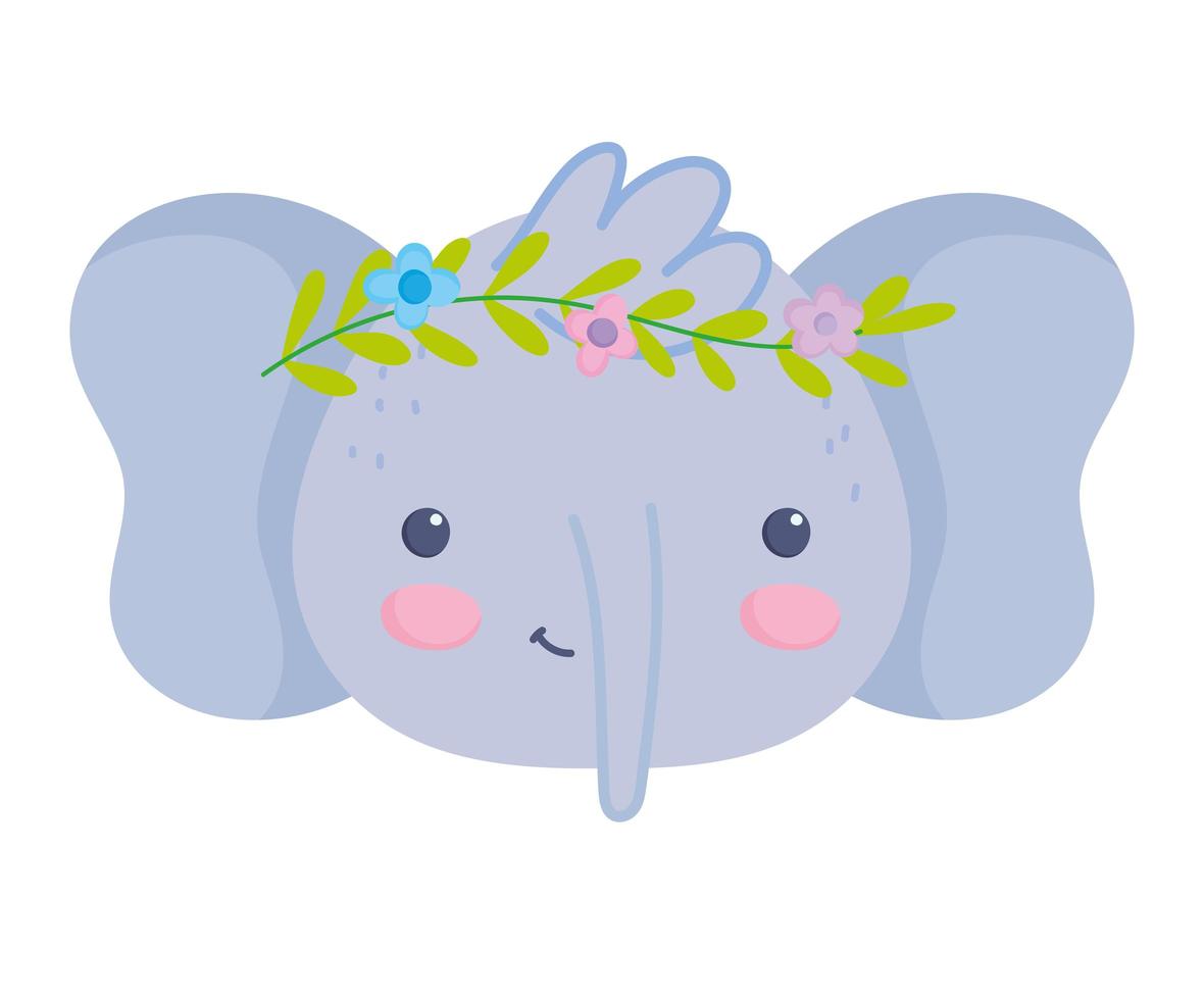 elephant cute face vector