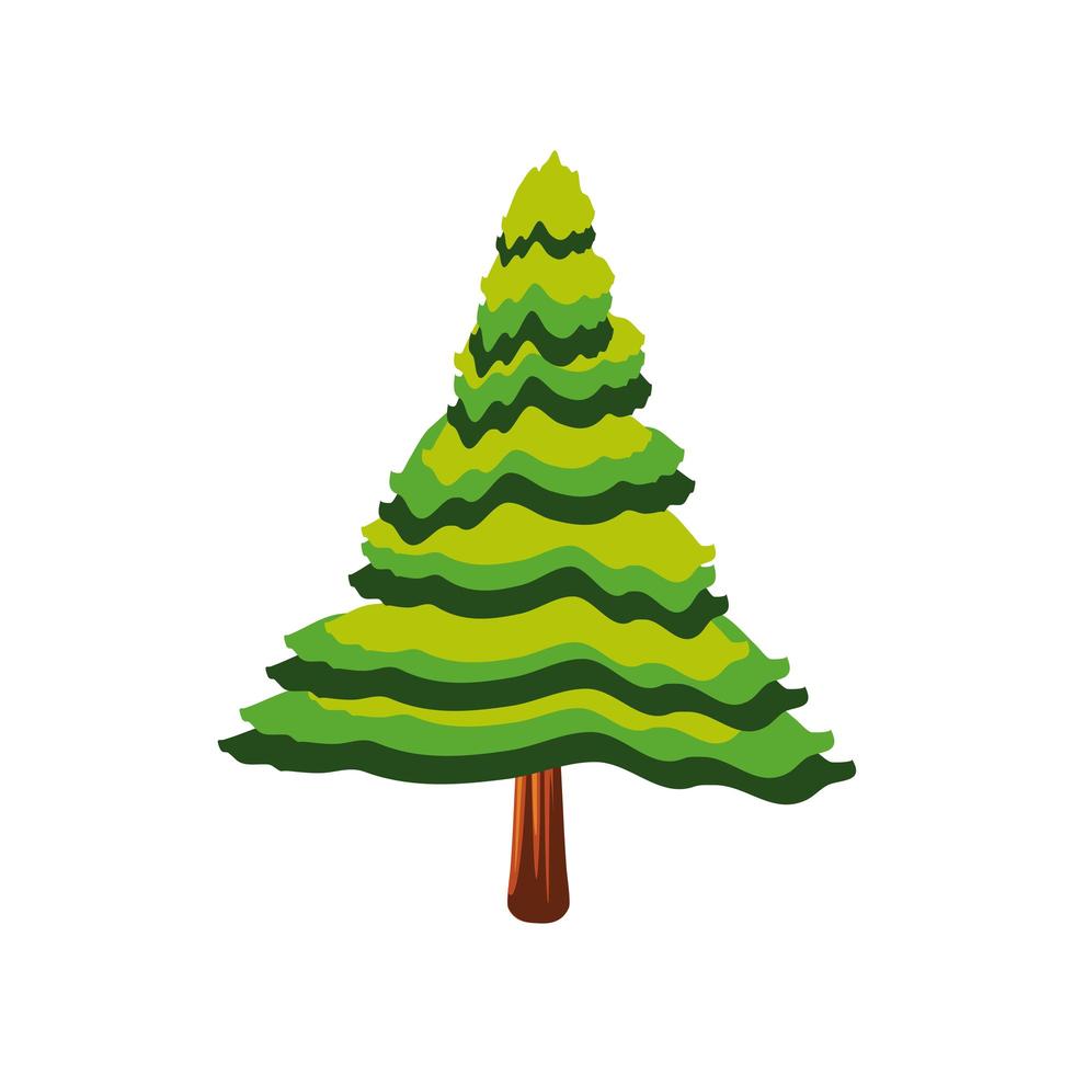 green pine tree vector