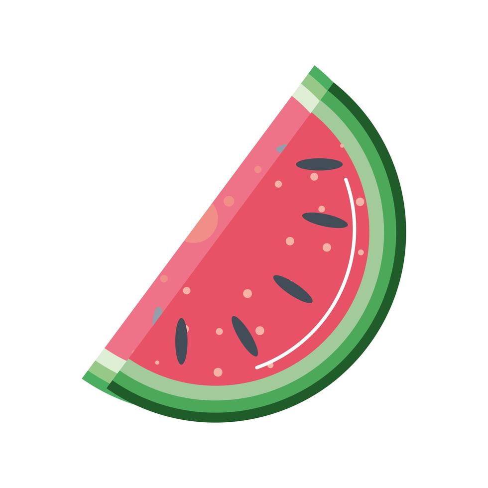 slice watermelon fruit vector