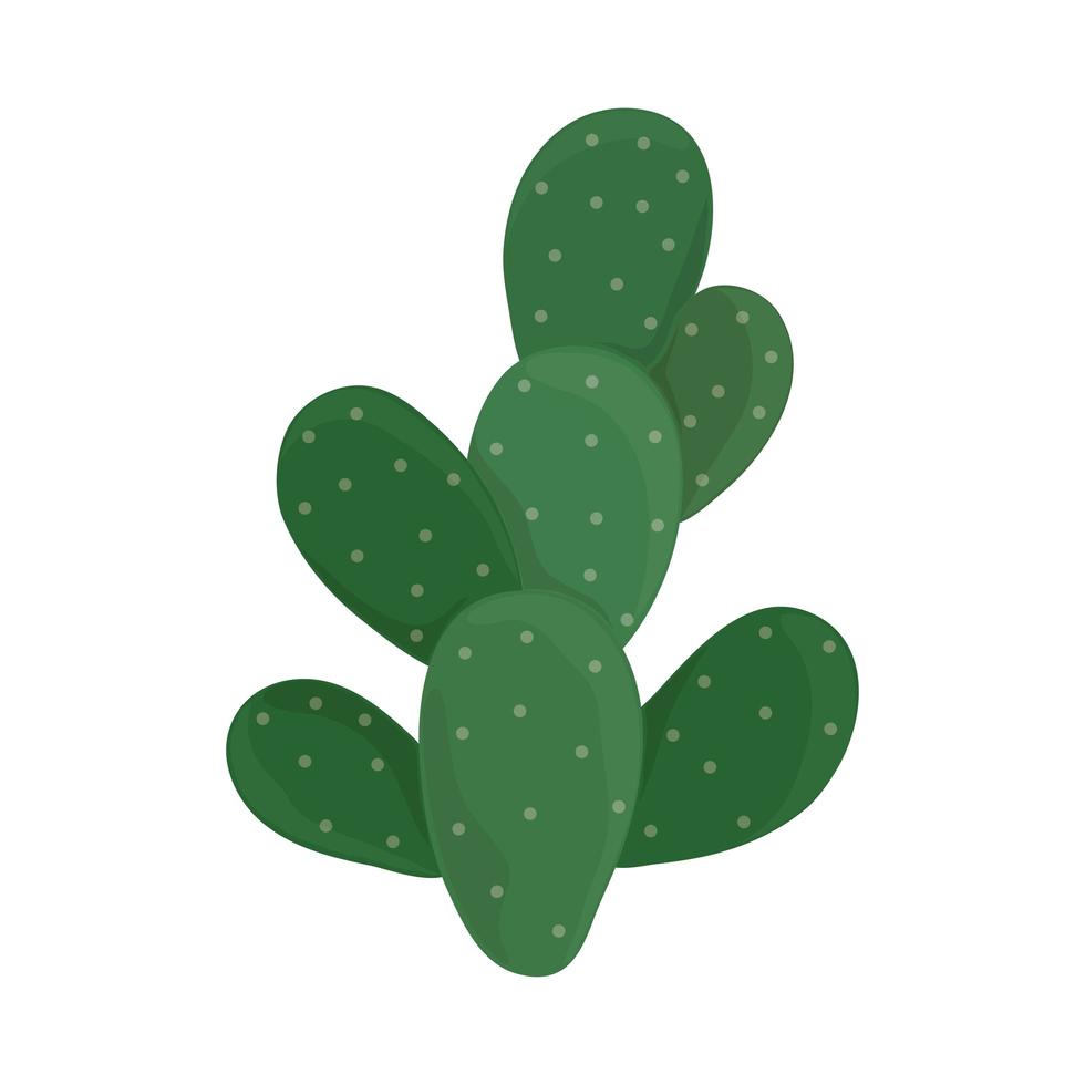 cactus plant nature vector