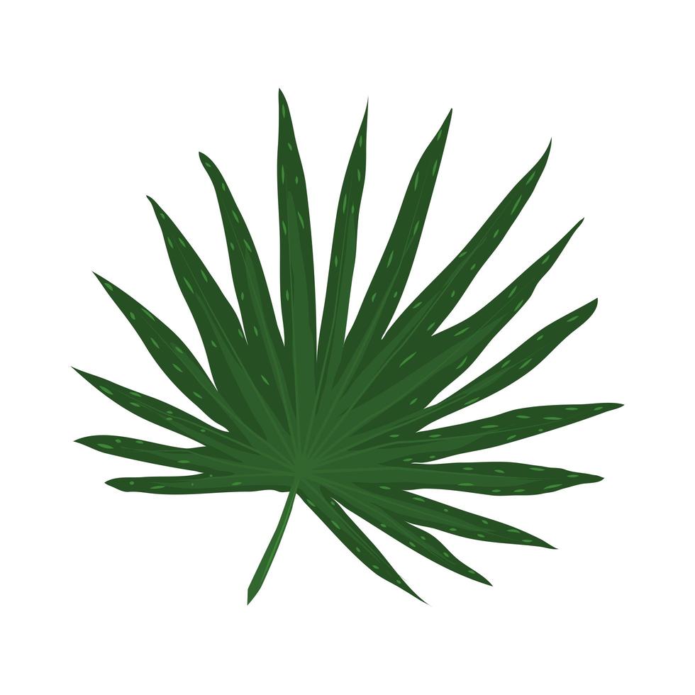 branch leaves nature vector