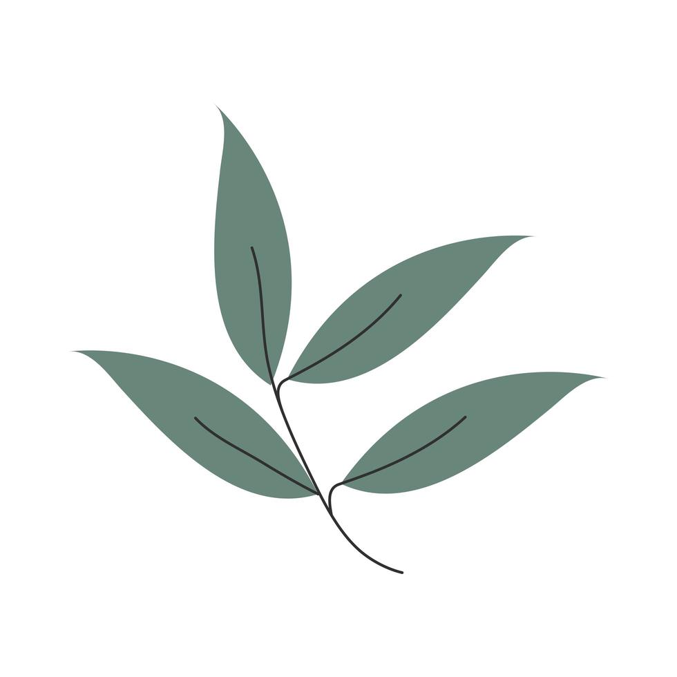 planta hojas naturaleza vector