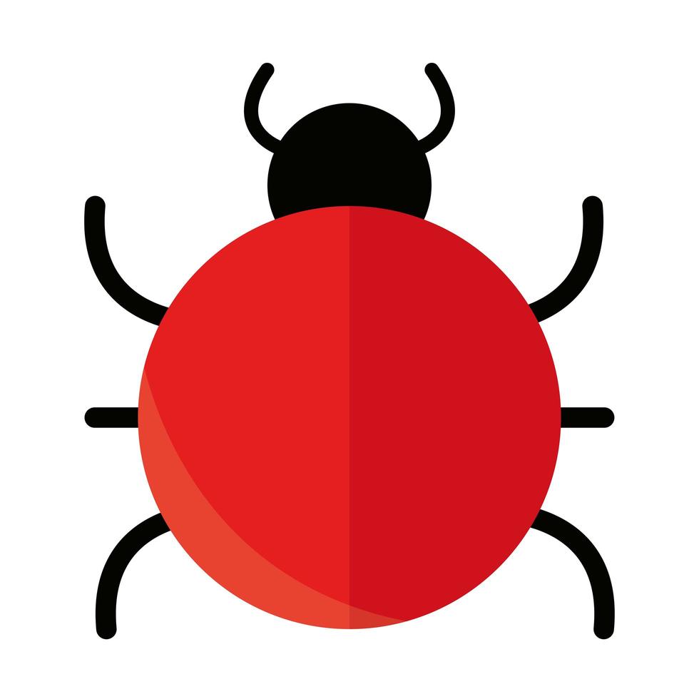 ladybug insect cartoon vector