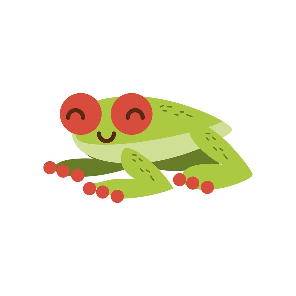 frog tropical animal vector