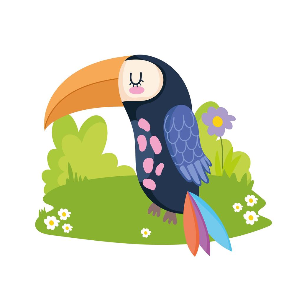 cartoon toucan bird vector