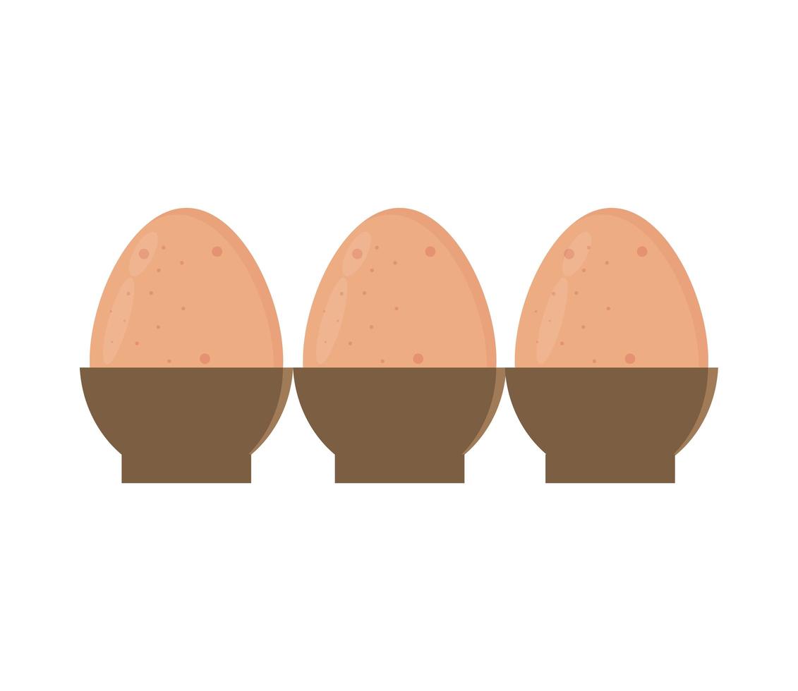 eggs in the box vector