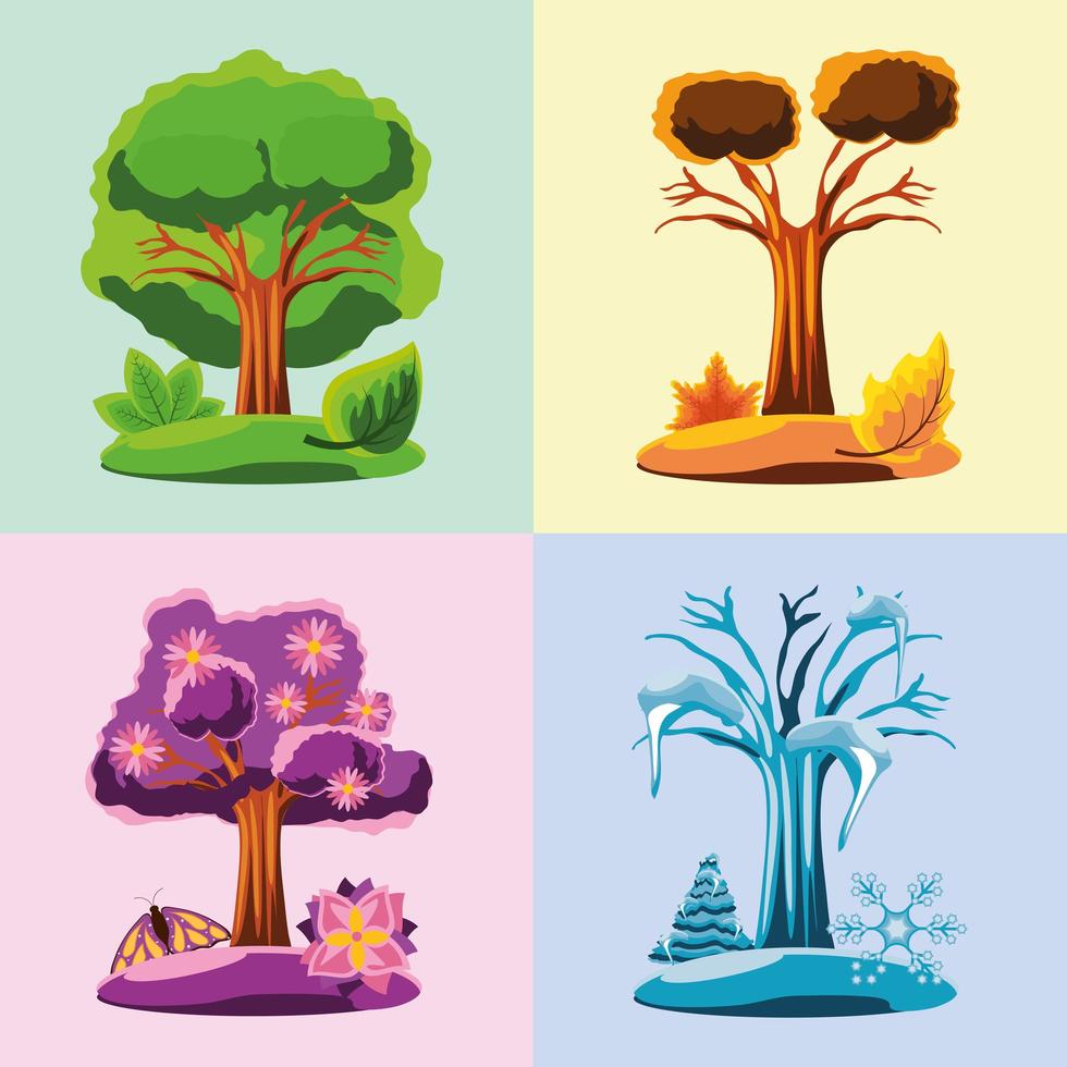 trees different seasons vector