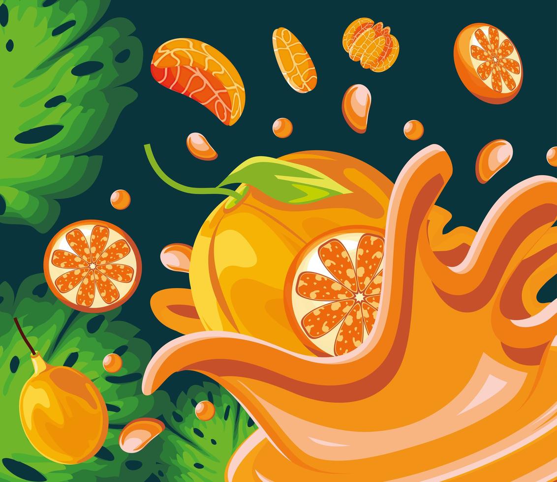 tropical fruit splash vector