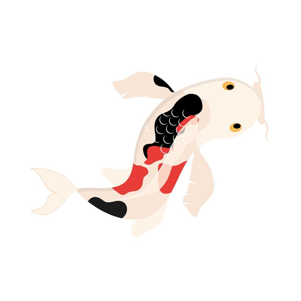 lindo pez koi vector