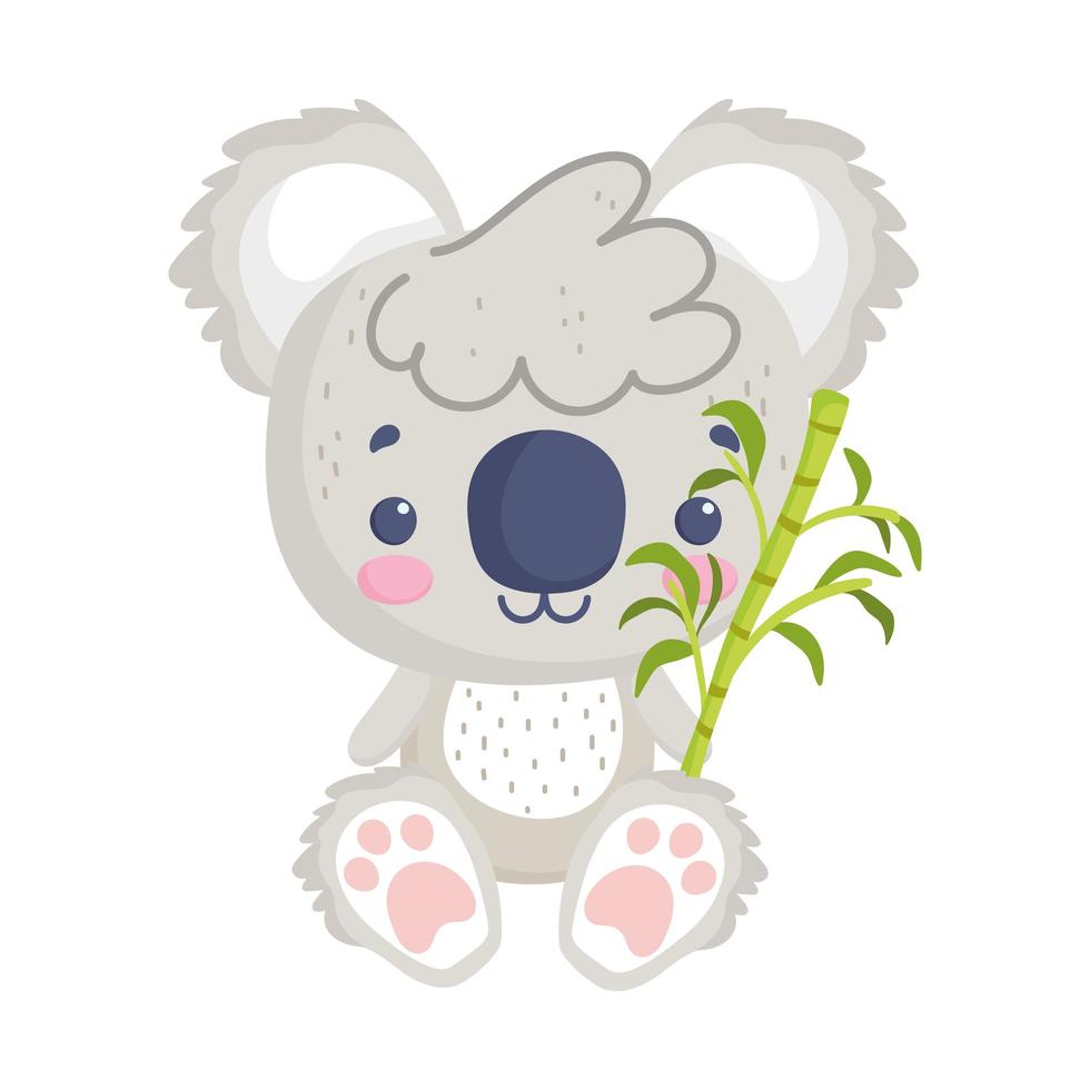 cute koala with branch vector