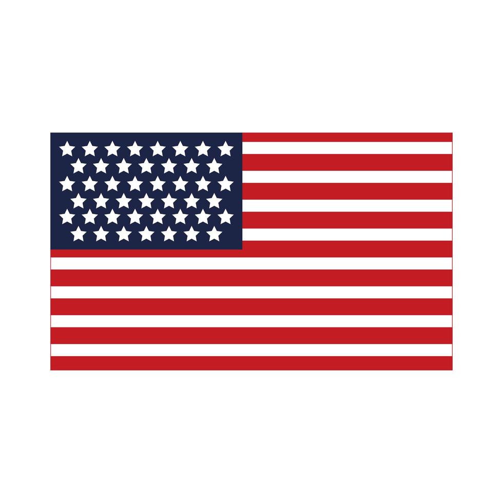 national american flag vector