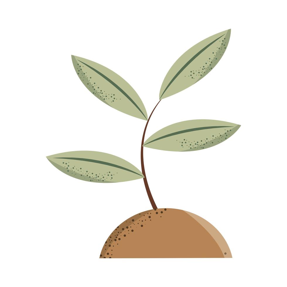 plant with leaves vector