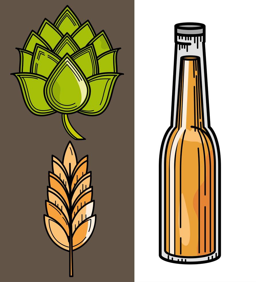 set of beer and barley vector