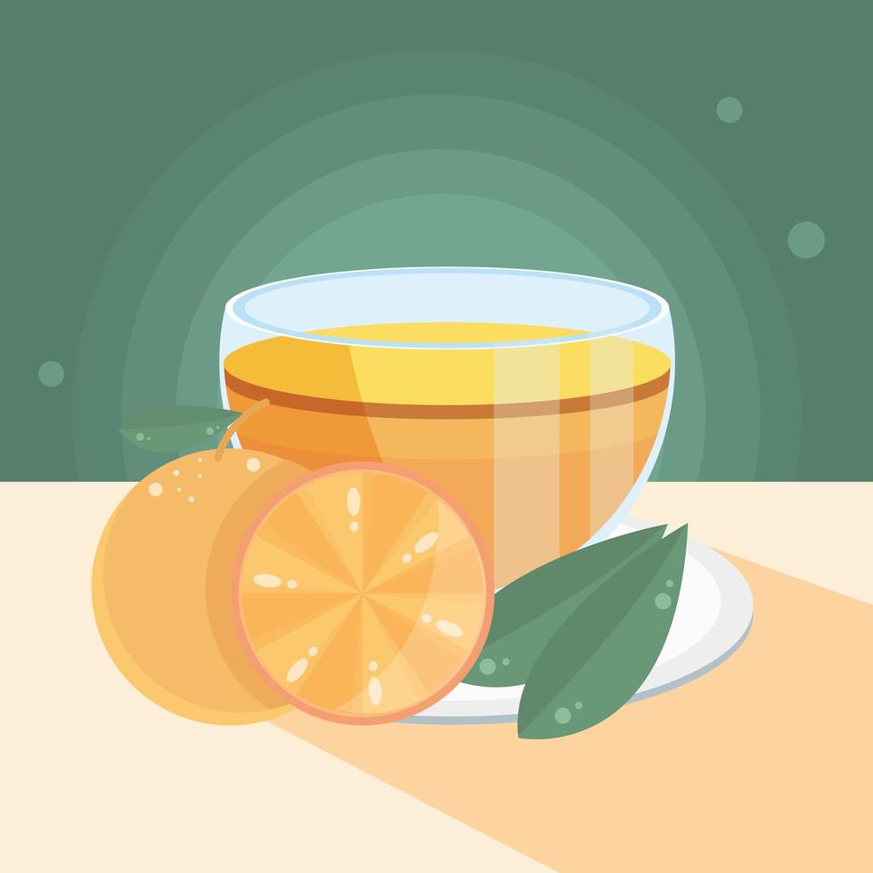 herbal tea orange vector