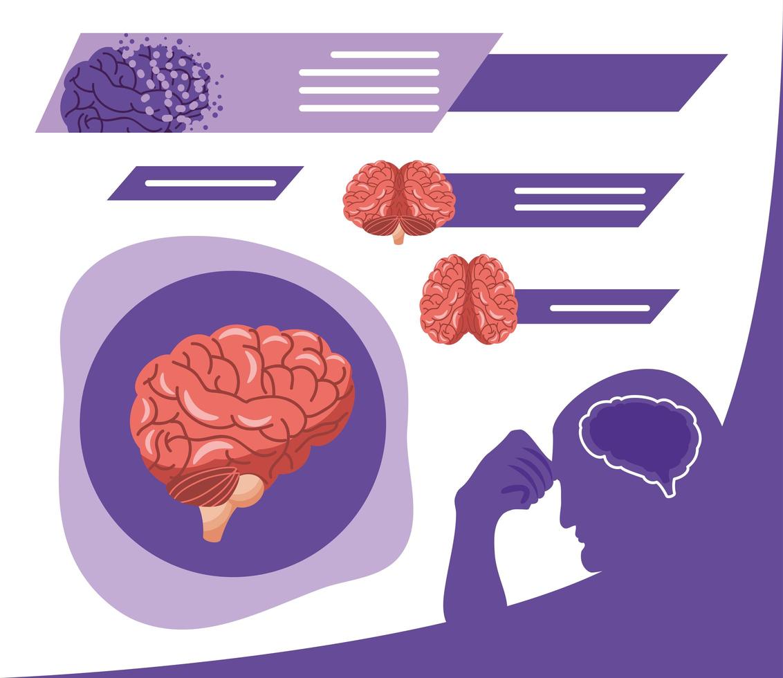 alzheimer human brain vector