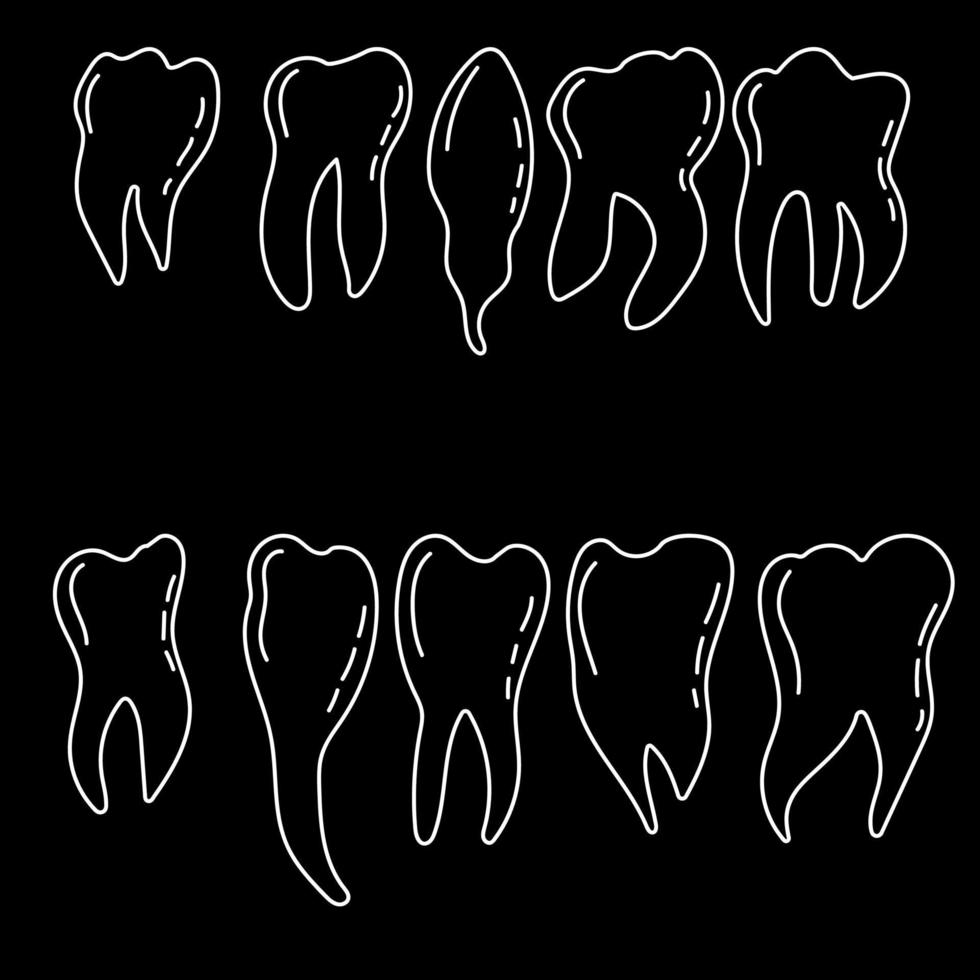 set of human teeth, white contour drawing on a black background, doodles on the theme of dentistry, outline vector illustration