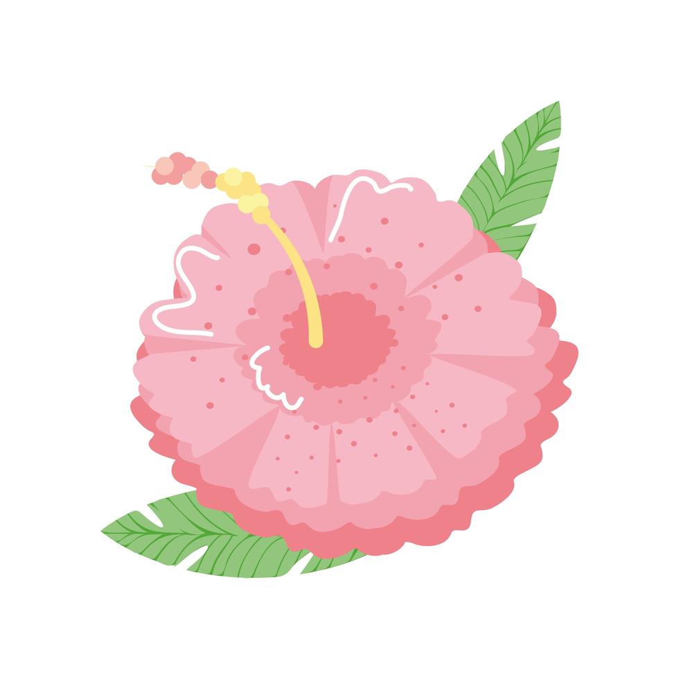 exotic hibiscus flower vector