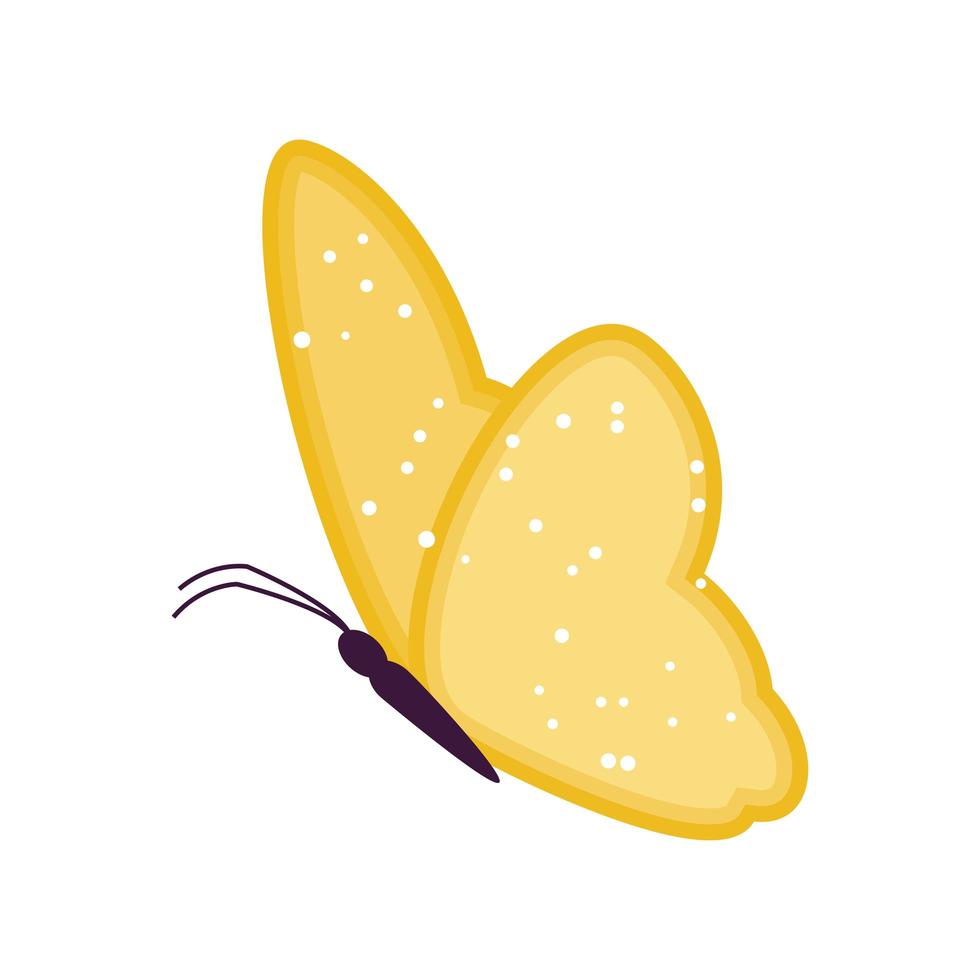 yellow butterfly cartoon vector