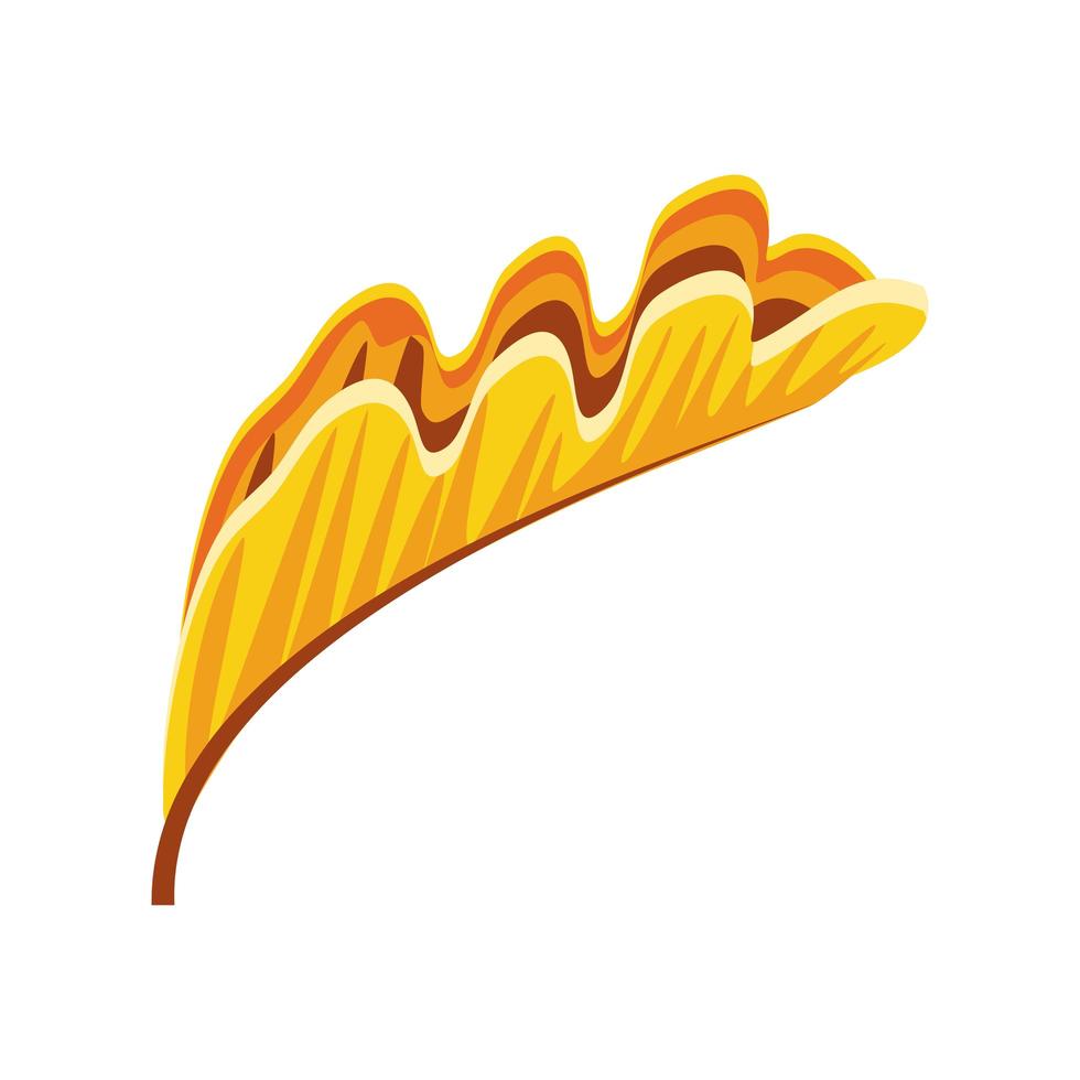 autumn leaf foliage vector