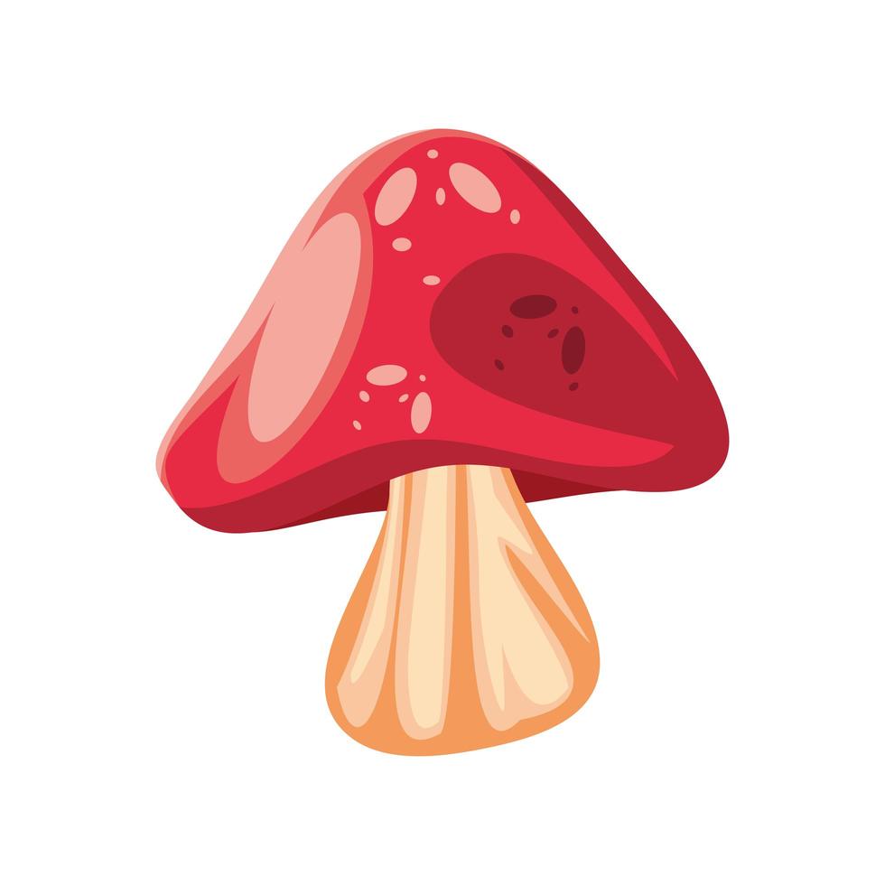 mushroom nature icon vector