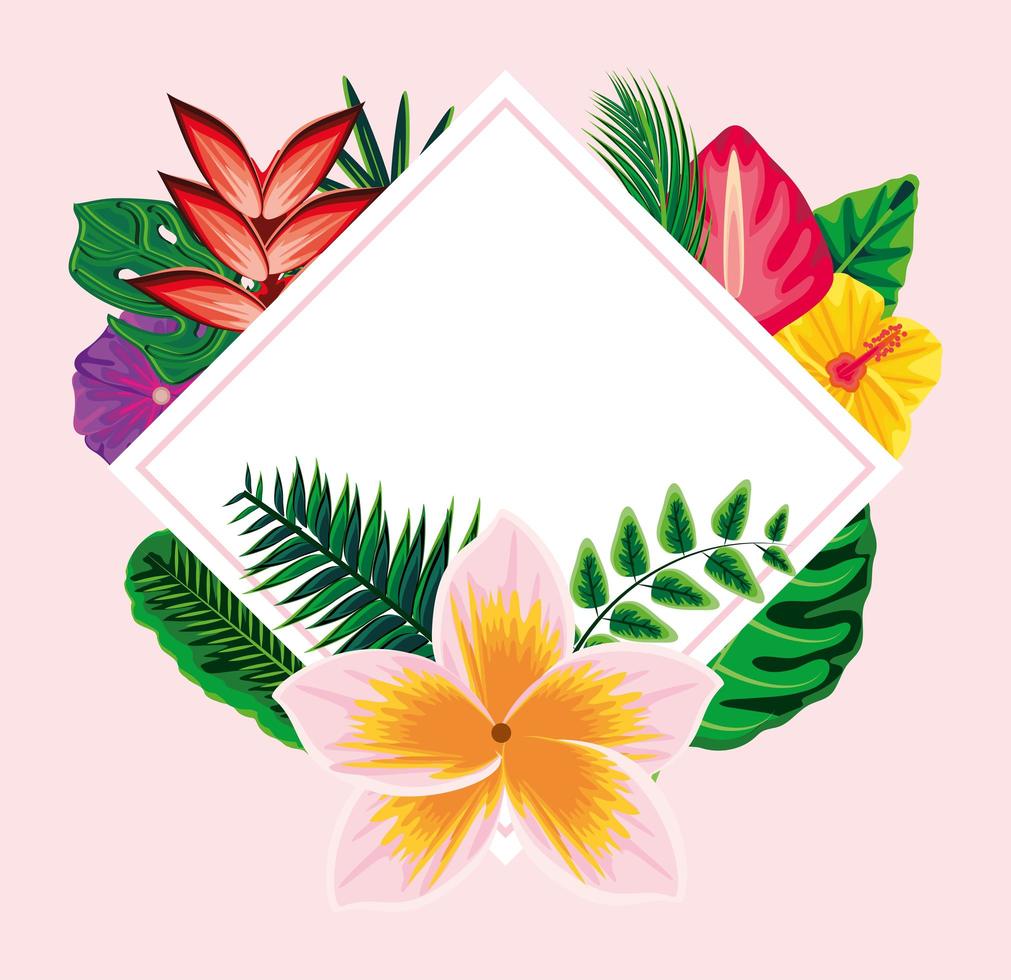 tropical exotic label vector