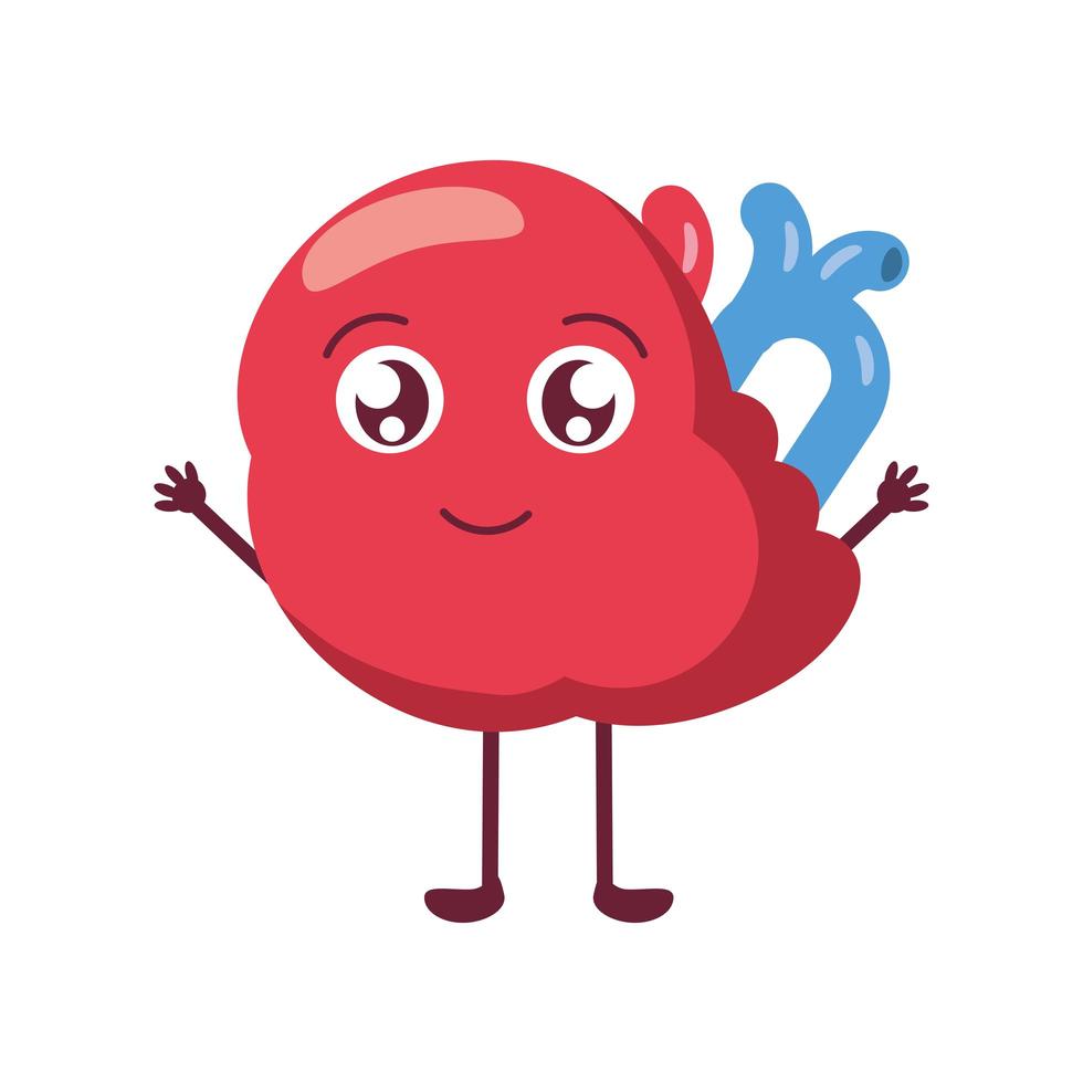 cute human spleen vector