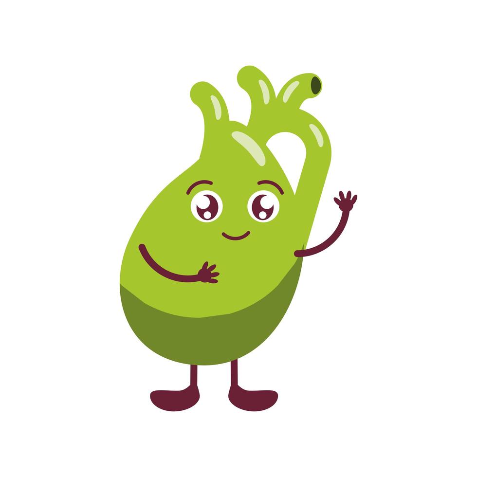 cute human gallbladder vector