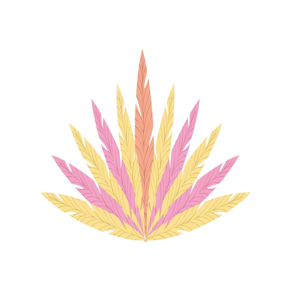 decorative feathers ornament vector