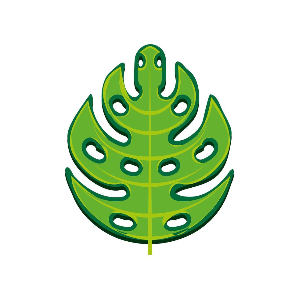 monstera leaf tropical vector