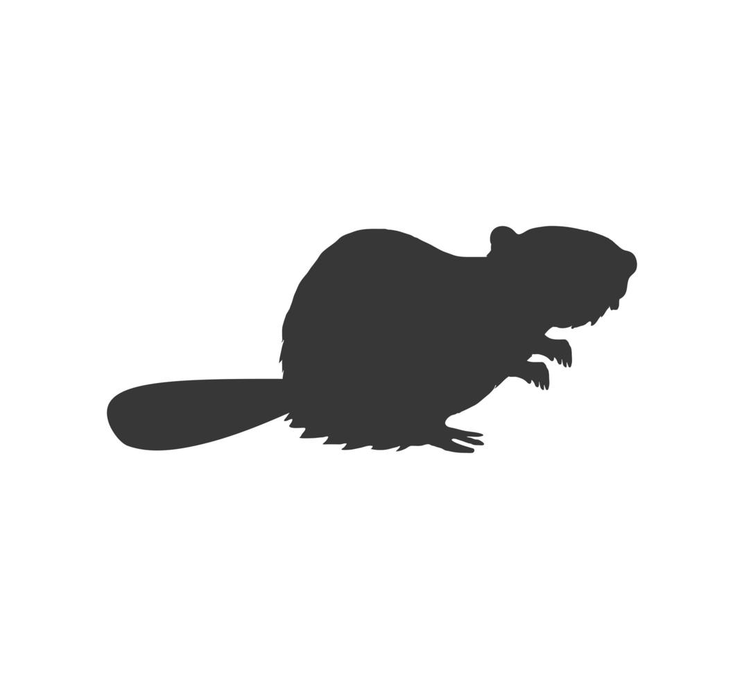 beaver animal silhouette vector